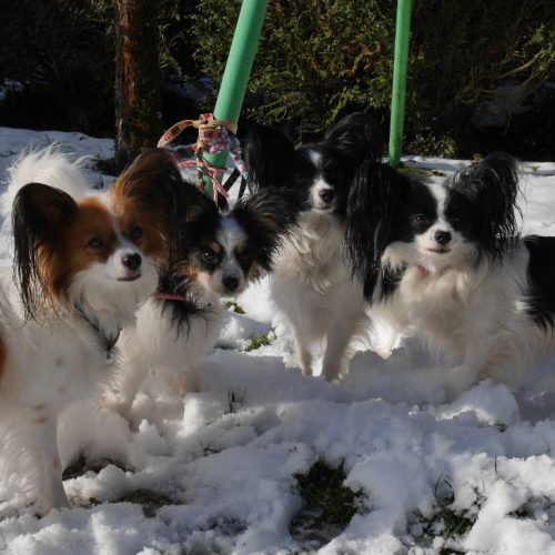 1ca5ee2d-cff8-a5a4-c1a1-f235b5d5dd56_min