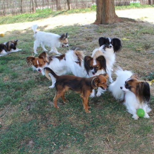 2fba5eef-b31e-18b4-71ce-58f8eab07e62_min