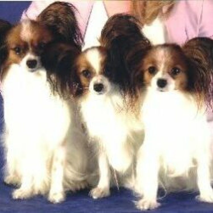 32ddb37a-e7a7-3394-4591-81701a6fb107