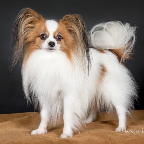 9bf21c38-d5a2-08d4-4573-6aad2c0fabe6_min